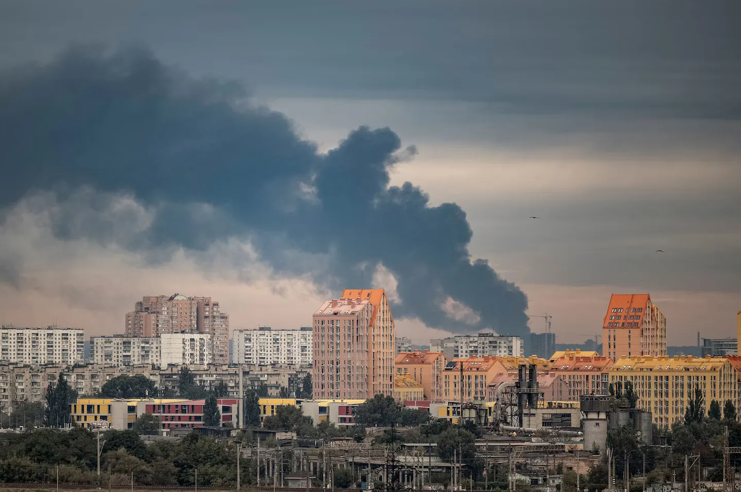 «Дронова стіна» ЄС: мережевий щит проти роїв дешевих дронів на східному фланзі